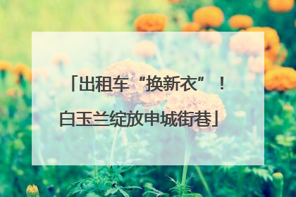 出租车“换新衣”！白玉兰绽放申城街巷