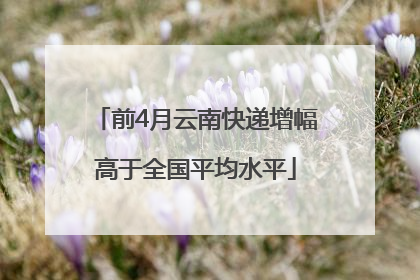 前4月云南快递增幅高于全国平均水平