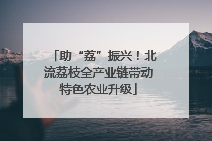 助“荔”振兴！北流荔枝全产业链带动特色农业升级