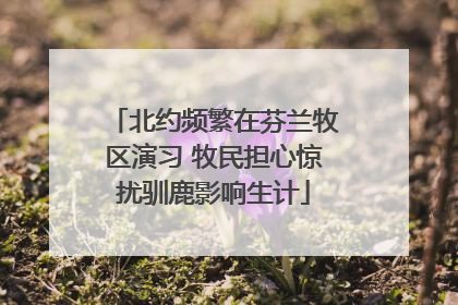 北约频繁在芬兰牧区演习 牧民担心惊扰驯鹿影响生计