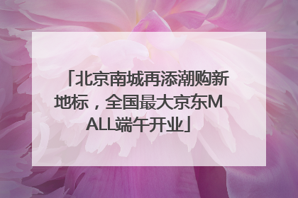 北京南城再添潮购新地标，全国最大京东MALL端午开业