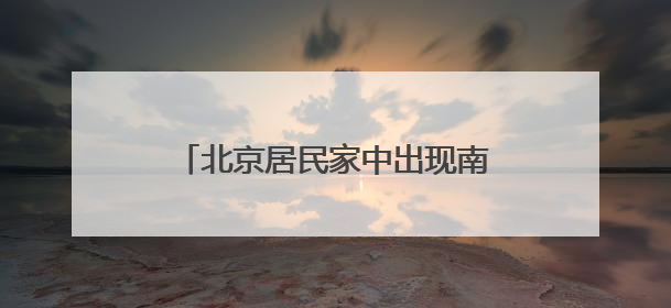 北京居民家中出现南方大蟑螂，正常吗？