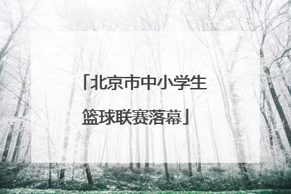 北京市中小学生篮球联赛落幕