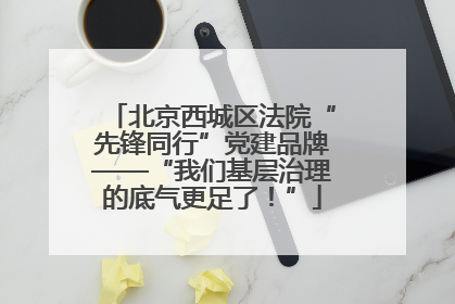 北京西城区法院“先锋同行”党建品牌——“我们基层治理的底气更足了！”