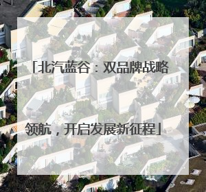 北汽蓝谷：双品牌战略领航，开启发展新征程