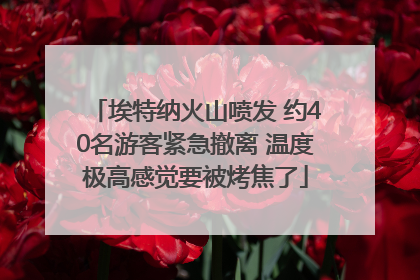 埃特纳火山喷发 约40名游客紧急撤离 温度极高感觉要被烤焦了