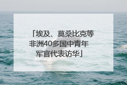 埃及、莫桑比克等非洲40多国中青年军官代表访华