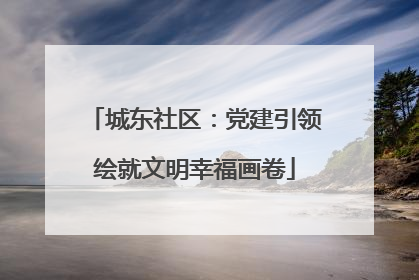 城东社区：党建引领绘就文明幸福画卷