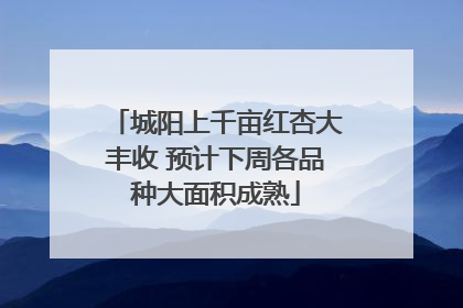 城阳上千亩红杏大丰收 预计下周各品种大面积成熟