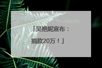 吴艳妮宣布：捐款20万！