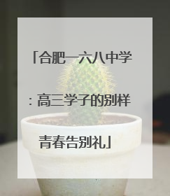 合肥一六八中学：高三学子的别样青春告别礼