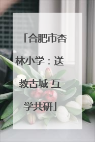 合肥市杏林小学：送教古城 互学共研