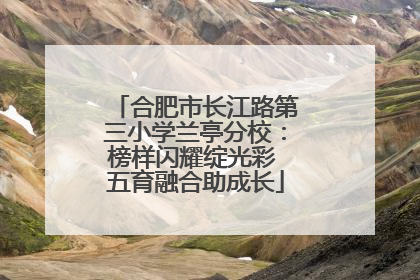 合肥市长江路第三小学兰亭分校：榜样闪耀绽光彩 五育融合助成长