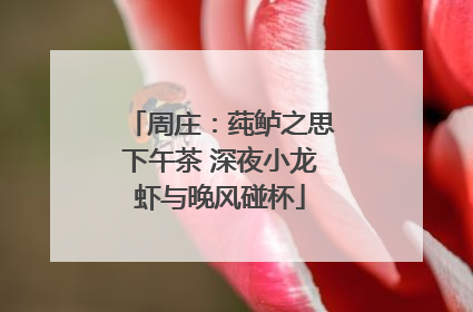 周庄：莼鲈之思下午茶 深夜小龙虾与晚风碰杯