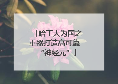 哈工大为国之重器打造高可靠“神经元”
