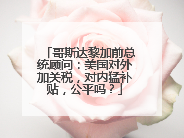 哥斯达黎加前总统顾问：美国对外加关税，对内猛补贴，公平吗？