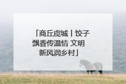 商丘虞城丨饺子飘香传温情 文明新风润乡村