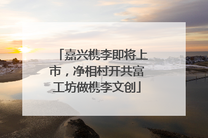 嘉兴槜李即将上市，净相村开共富工坊做槜李文创