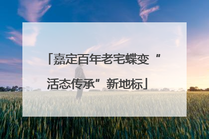 嘉定百年老宅蝶变“活态传承”新地标
