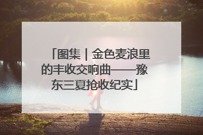 图集｜金色麦浪里的丰收交响曲——豫东三夏抢收纪实