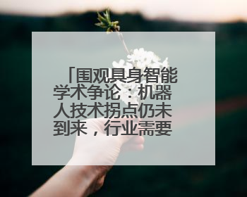 围观具身智能学术争论：机器人技术拐点仍未到来，行业需要纠偏