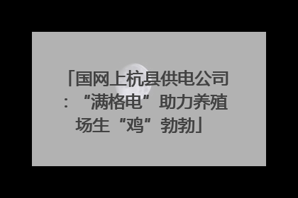国网上杭县供电公司：“满格电”助力养殖场生“鸡”勃勃