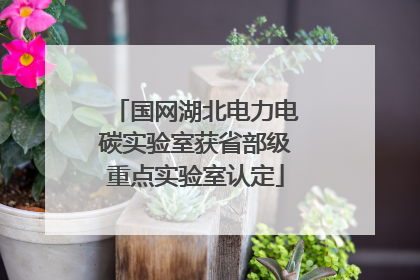 国网湖北电力电碳实验室获省部级重点实验室认定