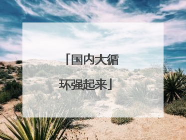 国内大循环强起来