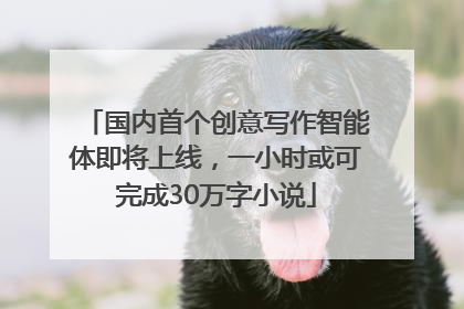 国内首个创意写作智能体即将上线，一小时或可完成30万字小说