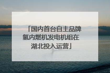 国内首台自主品牌氢内燃机发电机组在湖北投入运营