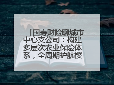 国寿财险聊城市中心支公司：构建多层次农业保险体系，全周期护航樱桃产业发展