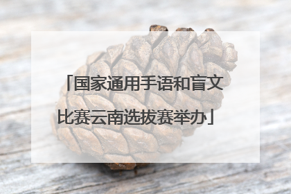 国家通用手语和盲文比赛云南选拔赛举办