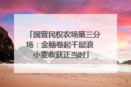 国营民权农场第三分场：金穗卷起千层浪 小麦收获正当时