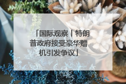 国际观察丨特朗普政府接受豪华赠机引发争议