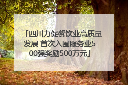 四川力促餐饮业高质量发展 首次入围服务业500强奖励500万元