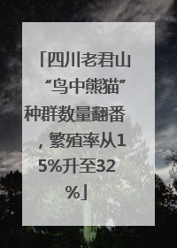 四川老君山“鸟中熊猫”种群数量翻番，繁殖率从15%升至32%
