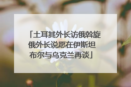 土耳其外长访俄斡旋 俄外长说愿在伊斯坦布尔与乌克兰再谈