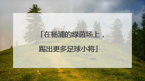 在杨浦的绿茵场上，踢出更多足球小将