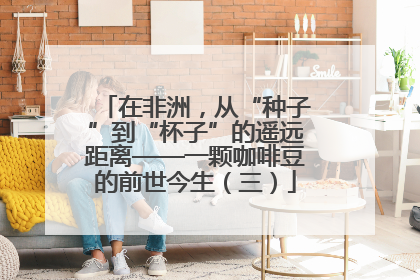 在非洲，从“种子”到“杯子”的遥远距离——一颗咖啡豆的前世今生（三）