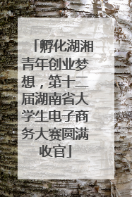 孵化湖湘青年创业梦想，第十二届湖南省大学生电子商务大赛圆满收官
