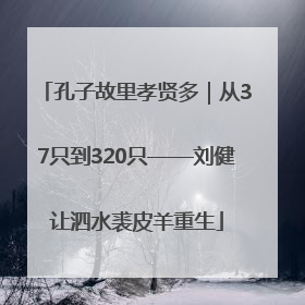 孔子故里孝贤多｜从37只到320只——刘健让泗水裘皮羊重生