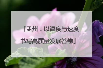 孟州：以温度与速度书写高质量发展答卷
