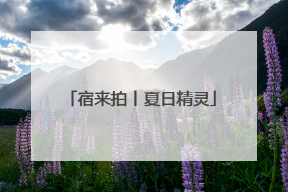 宿来拍丨夏日精灵