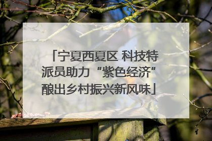 宁夏西夏区 科技特派员助力“紫色经济”酿出乡村振兴新风味