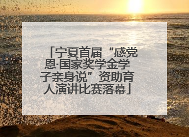 宁夏首届“感党恩·国家奖学金学子亲身说”资助育人演讲比赛落幕