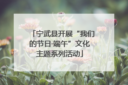 宁武县开展“我们的节日·端午”文化主题系列活动