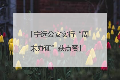 宁远公安实行“周末办证”获点赞