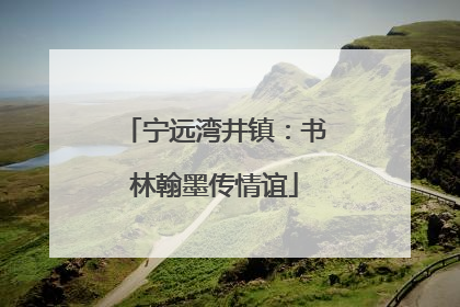 宁远湾井镇：书林翰墨传情谊