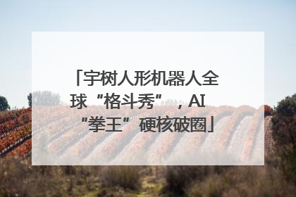 宇树人形机器人全球“格斗秀”，AI“拳王”硬核破圈