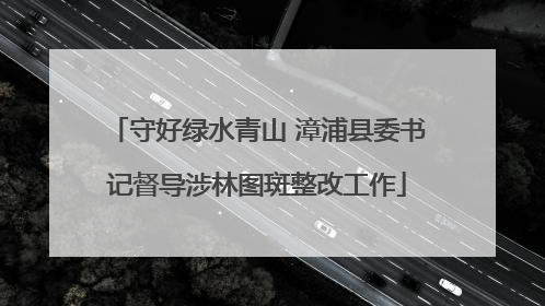 守好绿水青山 漳浦县委书记督导涉林图斑整改工作